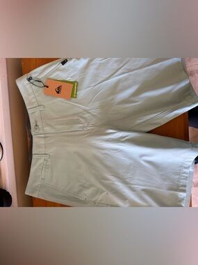 Quiksilver Men's Light Mint Flat Front Shorts